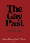 Image for The gay past: a collection of historical essays