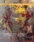 Image for Fundamentals of human neuropsychology