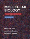 Image for Molecular Biology: Principles and Practice