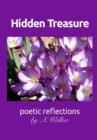 Image for Hidden Treasure