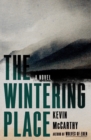 Image for The wintering place  : a novel