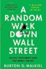 Image for A random walk down Wall Street  : the best investment guide that money can buy