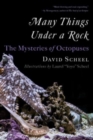 Image for Many Things Under a Rock - The Mysteries of Octopuses