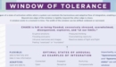 Image for Window of Tolerance Laminated Card