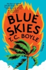 Image for Blue skies  : a novel