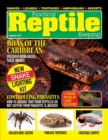 Image for Practical Reptile Keeping - September 2021