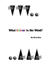 Image for What Colour is the Wind?