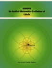 Image for Algebra. Un Analisis Matematico Preliminar Al Calculo