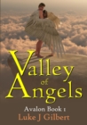 Image for Valley of Angels: Avalon Book 1