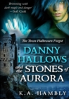 Image for Danny Hallows and the Stones of Aurora