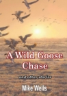 Image for A Wild Goose Chase: and Other Stories