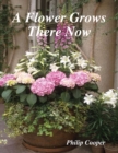 Image for Flower Grows There Now