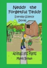 Image for Neddy the Forgetful Teddy Everyday Science Stories
