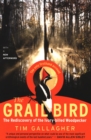 Image for The Grail Bird: The Rediscovery of the Ivory-billed Woodpecker