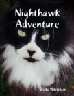 Image for Nighthawk Adventure