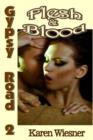 Image for Flesh &amp; Blood, Book 2 of the Gypsy Road Series