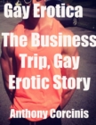 Image for Gay Erotica: The Business Trip, Gay Erotic Story