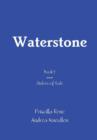 Image for Waterstone
