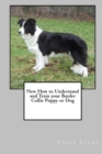 Image for New How to Understand and Train Your Border Collie Puppy or Dog