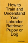 Image for How to Train and Understand Your Labrador Retriever Puppy or Dog