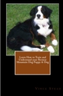 Image for Learn How to Train and Understand Your Bernese Mountain Dog Puppy &amp; Dog