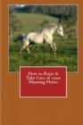 Image for How to Raise &amp; Take Care of Your Mustang Horse
