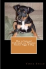 Image for How to Train and Understand Your Miniature Pinscher Puppy &amp; Dog