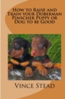 Image for How to Raise and Train Your Doberman Pincher Puppy or Dog to be Good