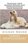 Image for Training Your Afghan Hound and Understanding Their Behavior