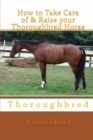 Image for How to Take Care of &amp; Raise Your Thoroughbred Horse