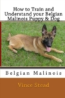Image for How to Train and Understand Your Belgian Malinois Puppy &amp; Dog