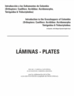Image for Introduccion a los saltamontes de Colombia (Laminas-Plates)
