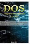 Image for DOS Programming Succes in A Day