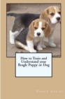 Image for How to Train and Understand Your Beagle Puppy or Dog