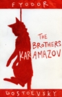 Image for Brothers Karamazov