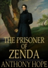 Image for Prisoner of Zenda