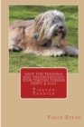 Image for Have Fun Training and Understanding Your Tibetan Terrier Puppy &amp; Dog