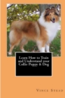 Image for Learn How to Train and Understand Your Collie Puppy &amp; Dog