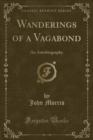 Image for Wanderings of a Vagabond