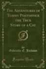 Image for The Adventures of Tommy Postoffice the True Story of a Cat (Classic Reprint)