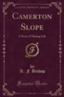 Image for Camerton Slope