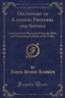 Image for Dictionary of Kashmiri Proverbs and Sayings