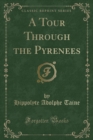 Image for A Tour Through the Pyrenees (Classic Reprint)