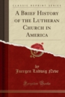 Image for A Brief History of the Lutheran Church in America (Classic Reprint)