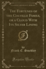 Image for The Fortunes of the Colville Family, or a Cloud with Its Silver Lining (Classic Reprint)