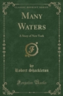 Image for Many Waters: A Story of New York (Classic Reprint)