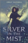 Image for Silver in the Mist