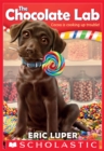 Image for The chocolate lab