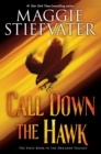 Image for Call Down the Hawk (The Dreamer Trilogy, Book 1)