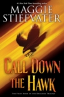 Image for Call Down the Hawk (The Dreamer Trilogy, Book 1)